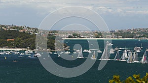 Gun fires for the sydney to hobart yacht race