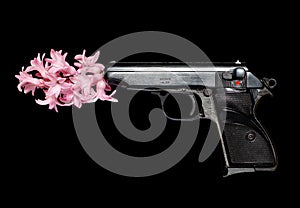 A gun and hyacinth