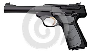 Gun Semi-Automatic 22 Caliber