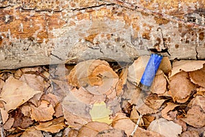 Gun shell left on the ground from hunting season