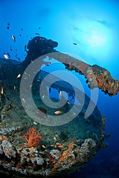 Gun of a ship wreck