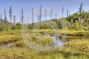 Gunflint Trail in Superior National Forest, Minnesota