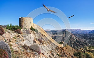 The Gunib fortress is a historical monument of Dagestan. Eagles fly over the old fortress