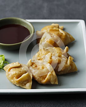 Gunmandu, Kimchi Mandu, Korean Dumpling on Plate, Served with Spicy Sauce