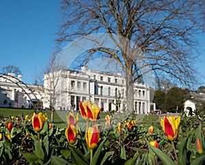 Gunnersbury House, once owned by the Rothschild family, now owned by Hounslow and Ealing Councils. Tulips in foreground.