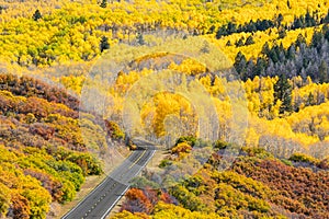 Gunnison Colorado Autumn