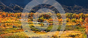 Gunnison river landscape