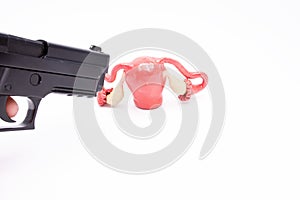 Gunshot wound to uterus with ovaries concept photo. A hand with gun aims at the anatomical figure of the uterus on a white photo