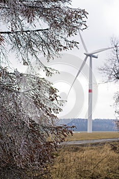 Guntramovice Czech Republic Moravian Sudetes in early spring with trees covered in ice. Freezing rain, fog.