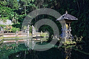 Gunung Kawi Sebatu Temple Sacred Pool