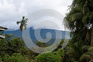 Gunung Mulu National Park