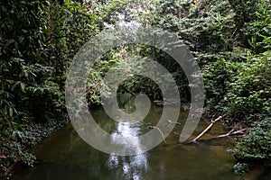 Gunung Mulu National Park River