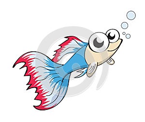 Guppy Fish