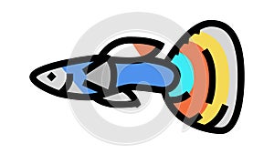 guppy fish color icon animation