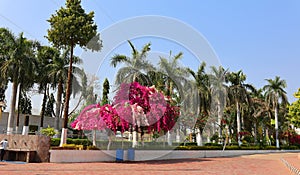 Gurdwara Data Bandi Chorh Sahib,