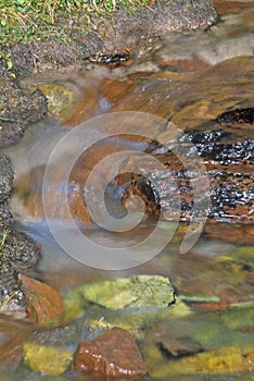 Gurgling Brook, Glacier National Park, Montana