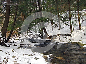 Gurgling Stream In the Winter Woods