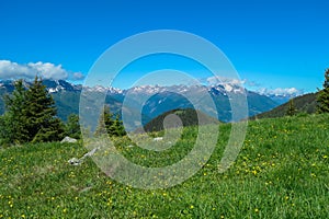 Gurglitzen - Blooming alpine meadow with panoramic view of majestic mountain peaks of Carnic andd Julian Alps