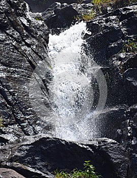 Gushing Clean Water - Waterfall at near Munnar, Kerala, India