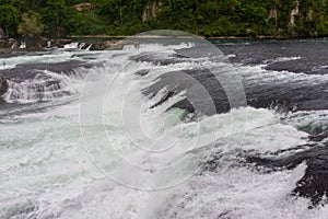 Gushing waters of the Rhine falls