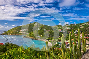 Gustavia, Saint Barthelemy skyline and harbor in the Caribbean