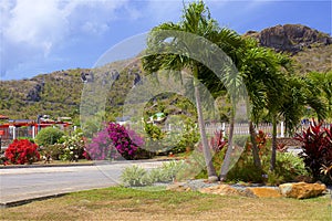 Gustavia streets in bloom, St Barths, Caribbean