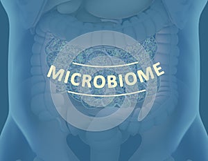 Gut bacteria , gut flora, microbiome. Bacteria inside the small intestine, concept, representation. 3D illustration