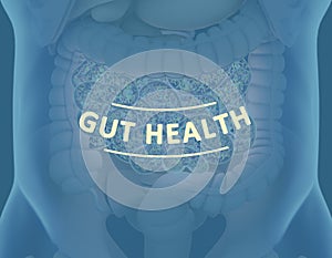Gut bacteria , gut flora, microbiome. Bacteria inside the small intestine, concept, representation. 3D illustration photo