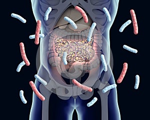Gut bacteria , gut flora, microbiome. Bacteria inside the small intestine, concept, representation. photo