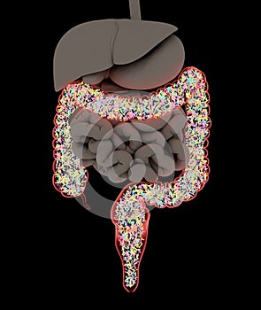 Gut bacteria , gut flora, microbiome. Bacteria inside the small intestine, concept, representation. 3D illustration