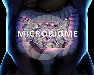 Gut bacteria , gut flora, microbiome. Bacteria inside the small intestine, concept, representation. 3D illustration