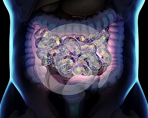 Gut bacteria , gut flora, microbiome. Bacteria inside the small intestine, concept, representation. 3D illustration