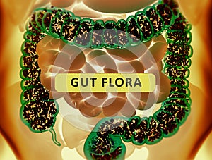 Gut bacteria, microbiome. Bacteria inside the large intestine, concept, representation. 3D illustration