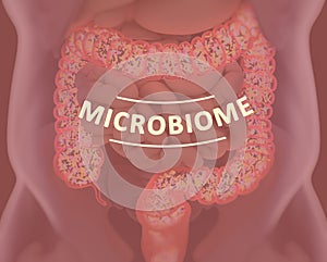 Gut bacteria, microbiome. Bacteria inside the large intestine, concept, representation. 3D illustration