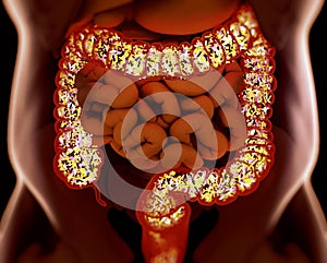 Gut bacteria, microbiome. Bacteria inside the large intestine, concept, representation. photo
