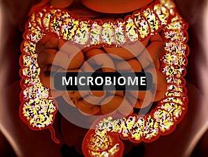 Gut bacteria, microbiome. Bacteria inside the large intestine, concept, representation. 3D illustration