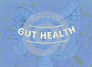 Gut bacteria, microbiome. Magnification of bacteria inside the intestines, concept, representation. 3D illustration