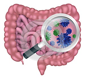 Gut Bacteria Probiotic Intestine Digestive Flora
