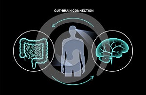 Gut Brain 3D