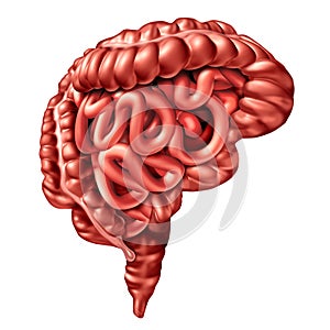 Gut Brain Health And Psychology photo