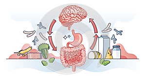 Gut brain axis and interaction with colon and brain organs outline diagram