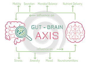Gut - Brain AXIS landscape poster. Useful infographic.