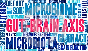 Gut-Brain Axis Word Cloud