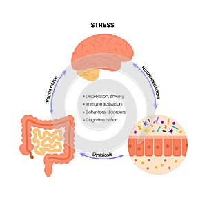 Gut brain connection