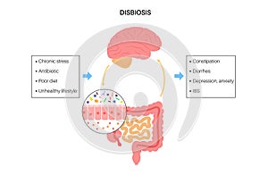 Gut brain connection