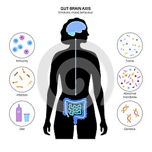 Gut brain connection