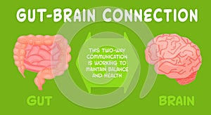 Gut-brain connection. Medical, scientific, healthcare concept. Vector