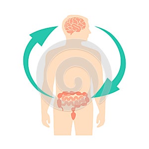 Relation of human brain and guts, second brain, image diagram, vector illustration