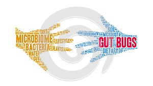 Gut Bugs Animated Word Cloud