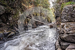 The Gut Conservation Area On The Scenic Crowe River In Ontario